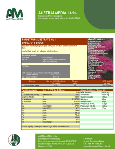 Pindstrup Substrate N1