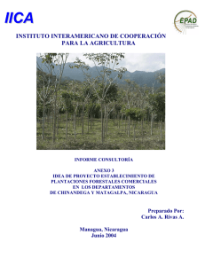 (2004) Idea de Proyecto Establecimiento de Plantaciones forestales