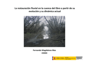 Magdaleno_F_LIFE LUTREOLA SPAIN 2015 Restauracion fluvial