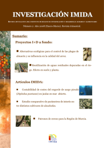 Ver PDF