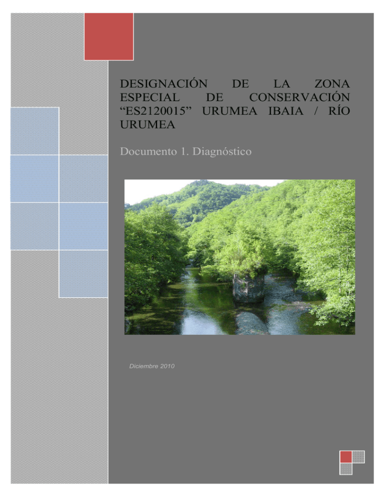 Documento 1 Diagn stico