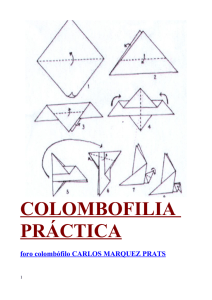 Descargar archivo colombofilia_practica__pdf(1)