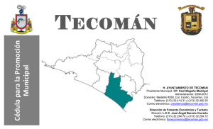Tecomán - Secretaría de Fomento Económico.