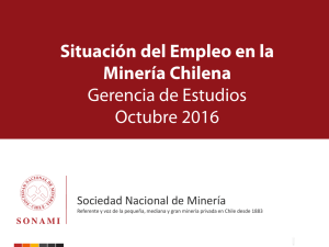 Español - Sociedad Nacional de Minería