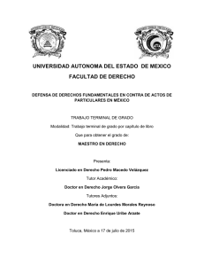 universidad autonoma del estado de mexico facultad de derecho