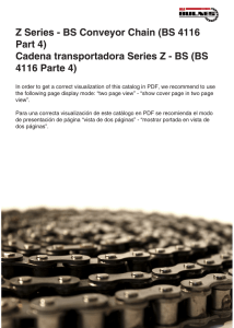 Cadena transportadora Series Z - BS (BS 4116 Parte 4)