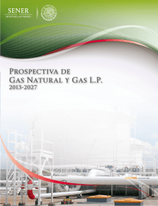Prospectiva Gas Natural y Gas LP 2013-2027