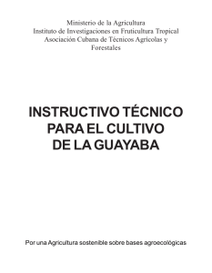Instructivo técnico cultivo guayaba