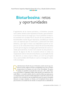 Bioturbosina: retos y oportunidades