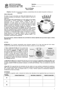 Guía de Mitosis y Meiosis