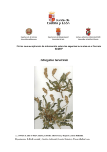 Astragalus turolensis Pau