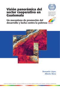 Visi&oacute;n panor&aacute;mica del sector cooperativo en