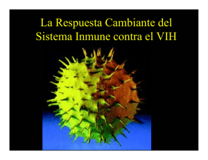 La Respuesta Cambiante del Sistema Inmune contra el VIH