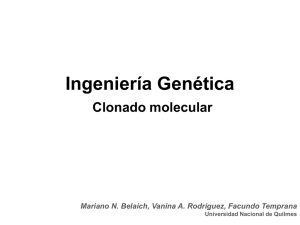 clonado molecular - Ingeniería Genética A