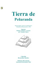 Tierra de Peñaranda  - Ayuntamiento de Peñaranda de