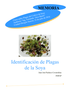 Identificación de Plagas de la Soya