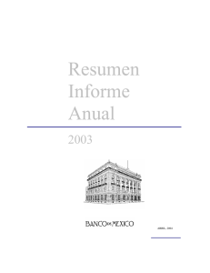 Resumen del Informe Anual 2003