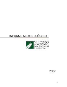 informe metodológico 2007 - Instituto Nacional de Estadísticas