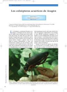 Los coleópteros acuáticos de Aragón