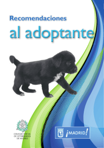 Recomendaciones al adoptante de perros