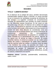 LAMINITIS BOVINA - Repositorio Digital de la Universidad de Cuenca