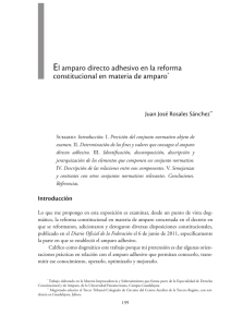 El amparo directo adhesivo en la reforma constitucional en materia