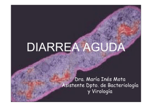 Diarrea aguda