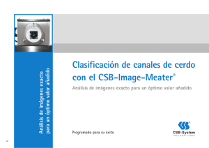 Clasificación de canales de cerdo con el CSB-Image - CSB
