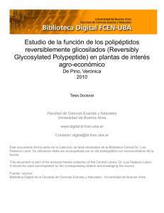 De Pino, Verónica. 2010 "Estudio de la función de los polipéptidos