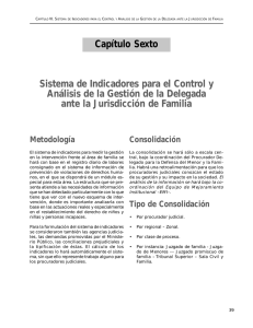 Capítulo Sexto Sistema de Indicadores para el Control y