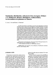 Instalación, distribución y eficacia de Onus laevigatus (Fieber) y O