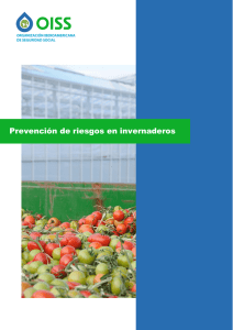 Prevención de riesgos en invernaderos