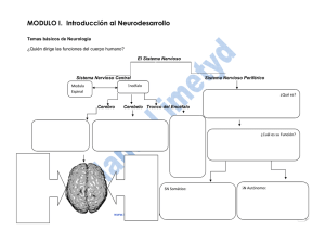 MODULO I. Introducción al Neurodesarro ión al