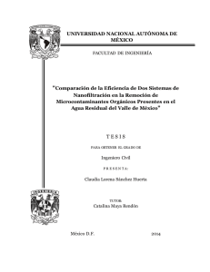 UNIVERSIDAD NACIONAL AUT&Oacute;NOMA DE M&Eacute;XICO