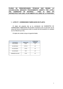 pliego de prescripciones técnicas que regirá la adjudicación