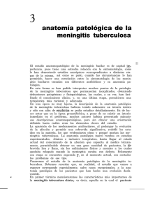 anatomía patológica de la meningitis tuberculosa