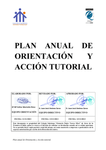 plan anual de orientación y acción tutorial