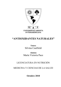 antioxidantes naturales