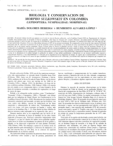 biologia y conservacion de morpho sulkowskyi en colombia