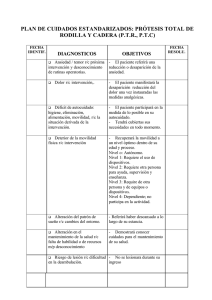 planificación y ejecución de cuidados ptr