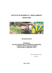 Leer todo el Documento - Instituto de Desarrollo y Medio Ambiente