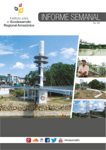 informe semanal - Desarrollo Amazónico