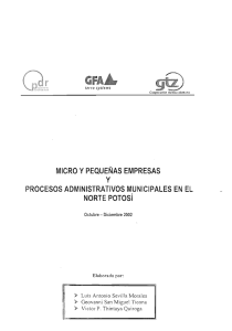 Micro y pequeñas empresas y procesos administrativos