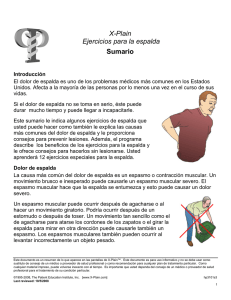 Back Exercises (Spanish)