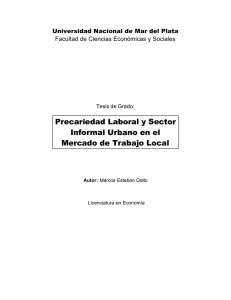 Precariedad laboral y sector informal urbano en el mercado de
