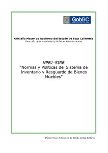 nbp1-sirb-normas y politicas sistema de inventario y resguardo