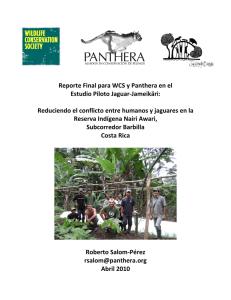 Reporte Final para WCS y Panthera en el Estudio Piloto - Eco