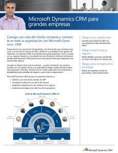 Microsoft Dynamics CRM para grandes empresas