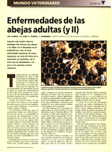 Enfermedades de las abejas adultas (y II)