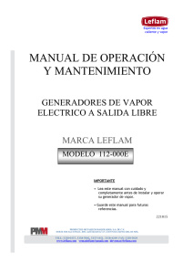 MANUAL GENERADOR DE VAPOR ELECTRICO 112000E